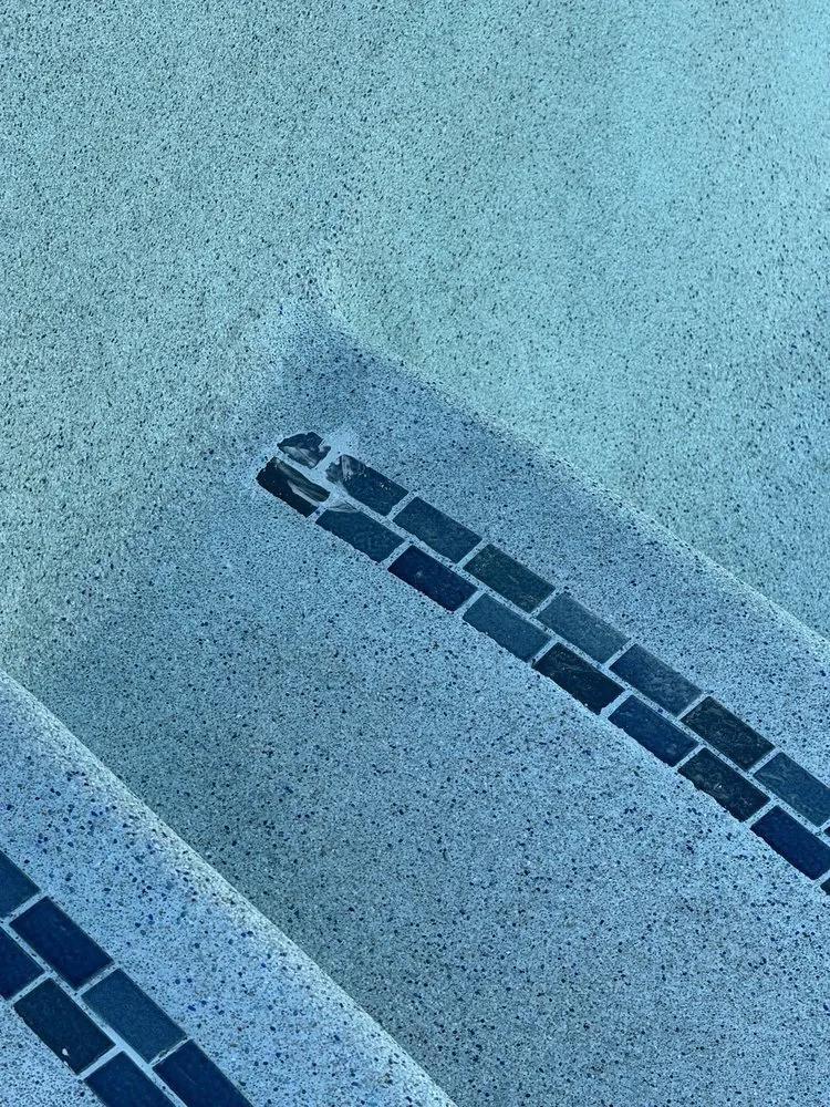 Local outdoor landscaping in La Mesa, CA by JWB Pools