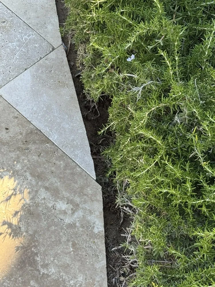 Top-rated lawn care service in La Mesa, CA by JWB Pools