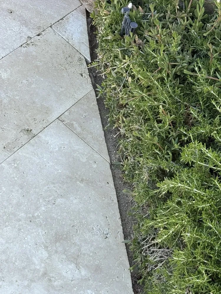 Affordable yard cleanup service for homes across La Mesa, CA - JWB Pools