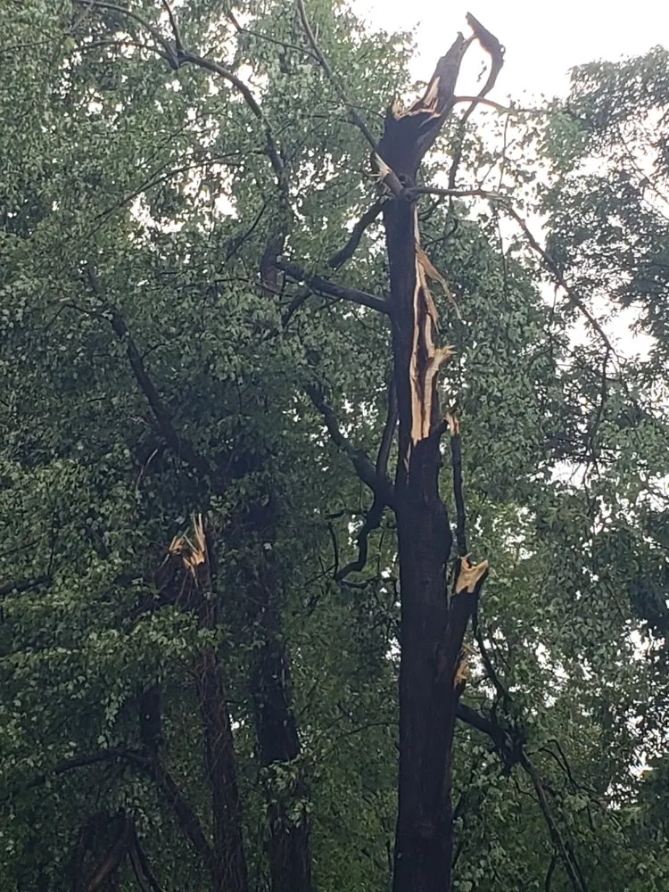 Reliable outdoor landscaping in Alexandria, VA - JWB Tree & Landscape