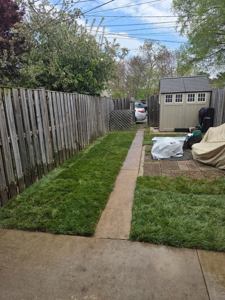 Affordable yard cleanup service experts serving Alexandria, VA - JWB Tree & Landscape