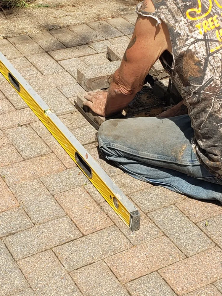 Custom yard cleanup service in Alexandria, VA - JWB Tree & Landscape