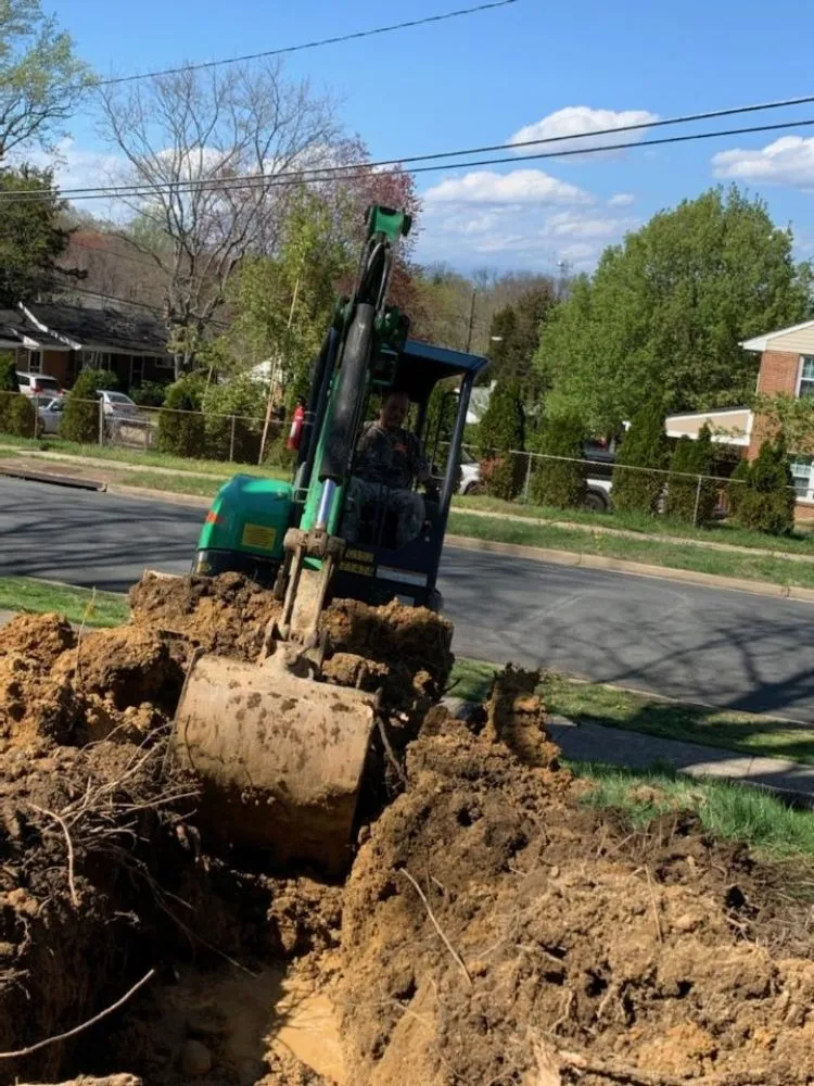 Professional landscaping services experts serving Alexandria, VA - JWB Tree & Landscape