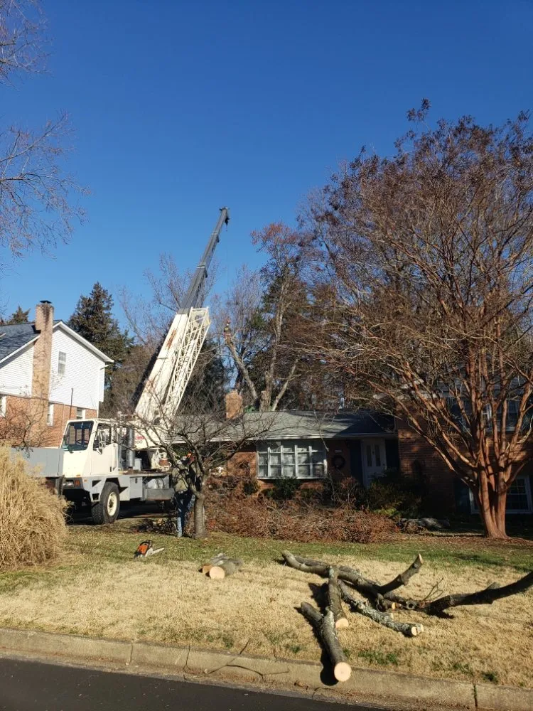 Reliable landscape design in Alexandria, VA - JWB Tree & Landscape