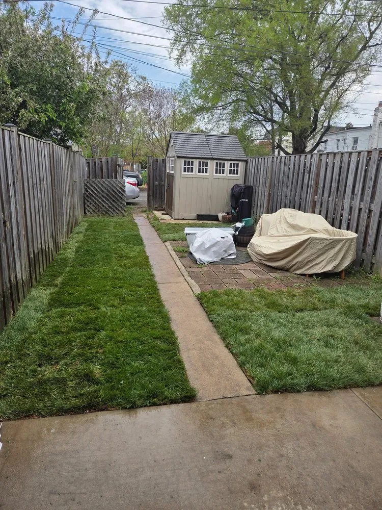 Local yard maintenance for outdoor upgrades in Alexandria, VA by JWB Tree & Landscape