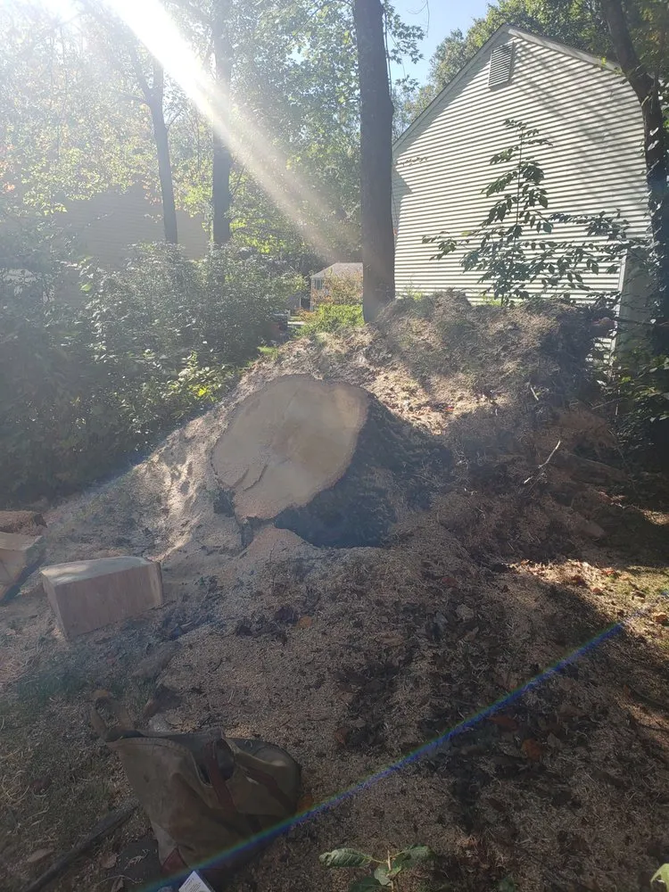 Reliable lawn mowing service experts serving Alexandria, VA - JWB Tree & Landscape