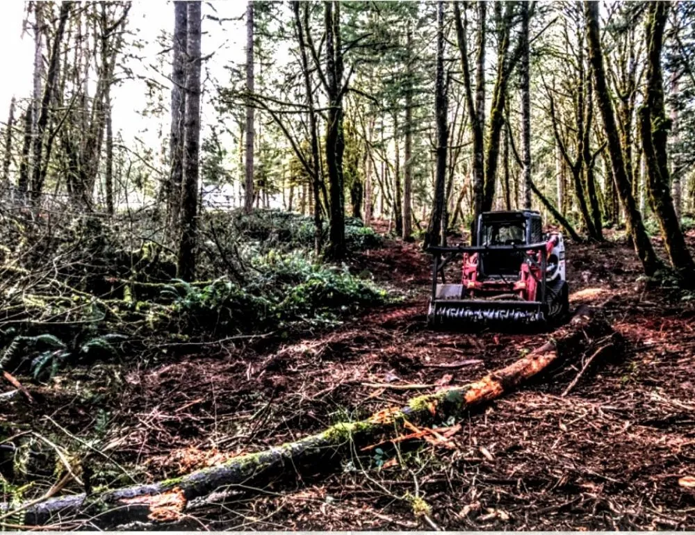 Custom lawn care service in Austin, AR - Jwc Excavation Landscape