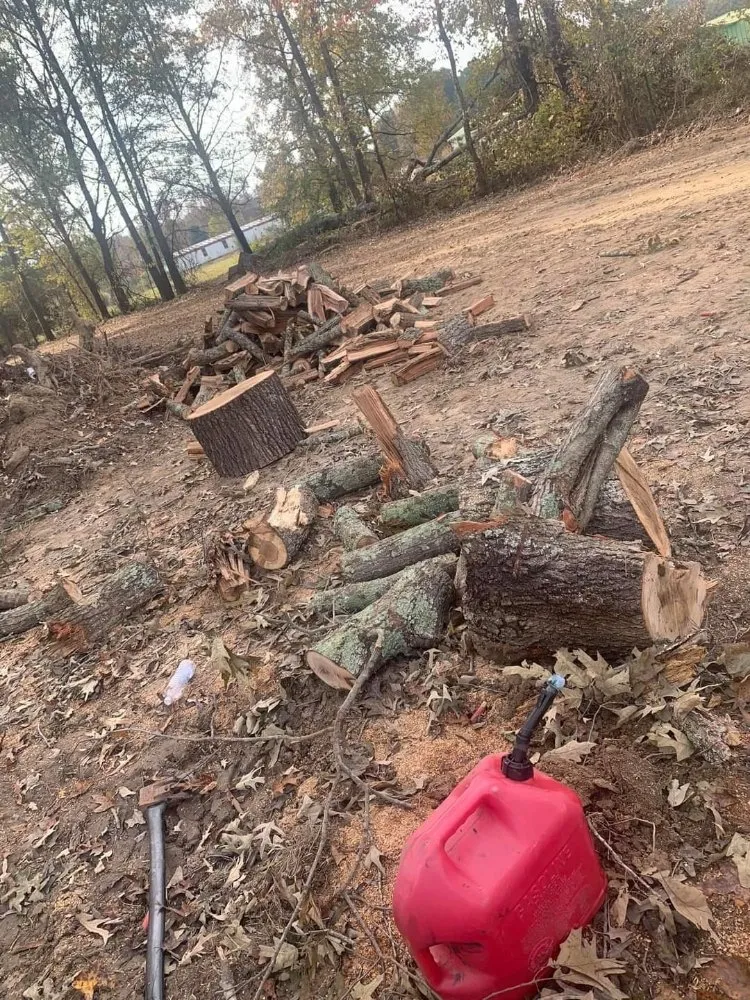 Reliable landscape installation in Austin, AR by Jwc Excavation Landscape