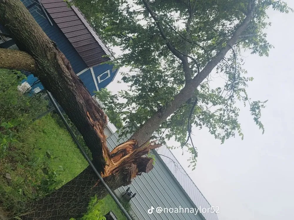 Reliable lawn mowing service in Austin, AR by Jwc Excavation Landscape