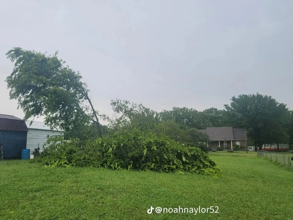 Affordable landscape design in Austin, AR - Jwc Excavation Landscape