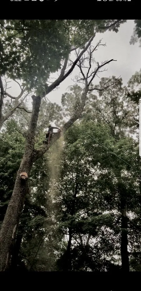 Expert lawn mowing service near you in Topsfield, MA by JWC