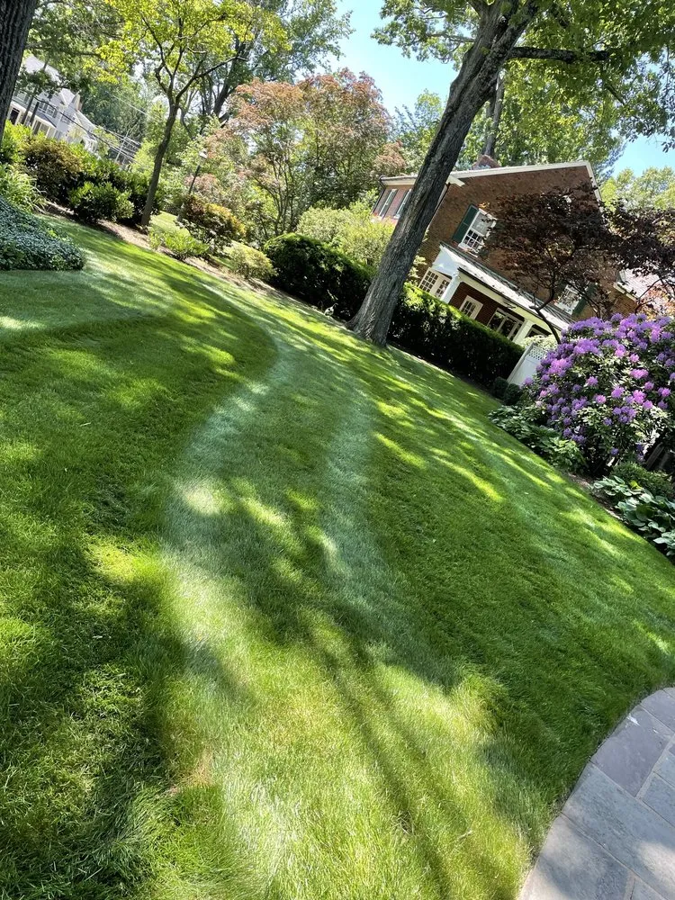 Expert landscaping services for year-round maintenance across Perkasie, PA - JWD Landscaping