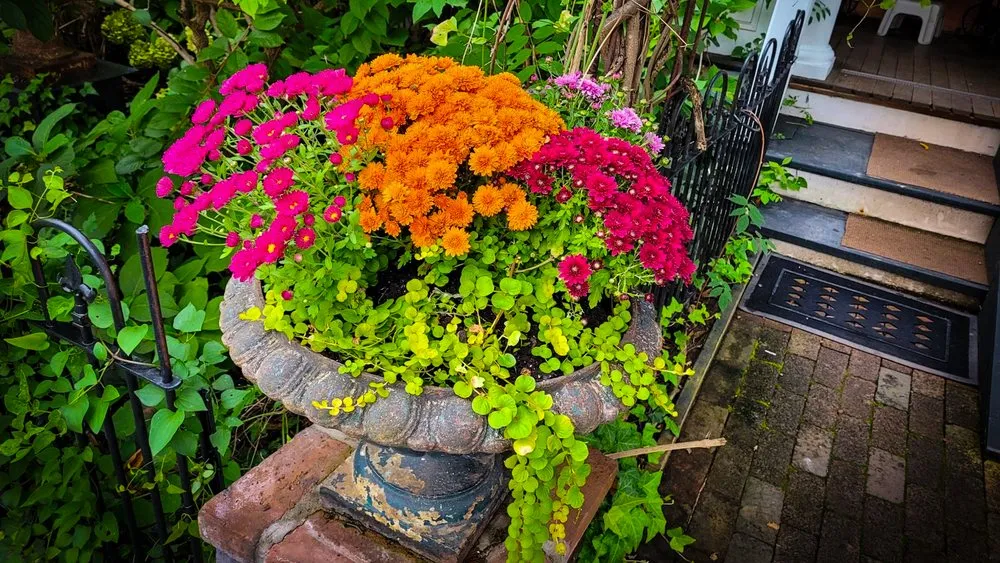 Professional outdoor landscaping for beautiful yards in Perkasie, PA by JWD Landscaping