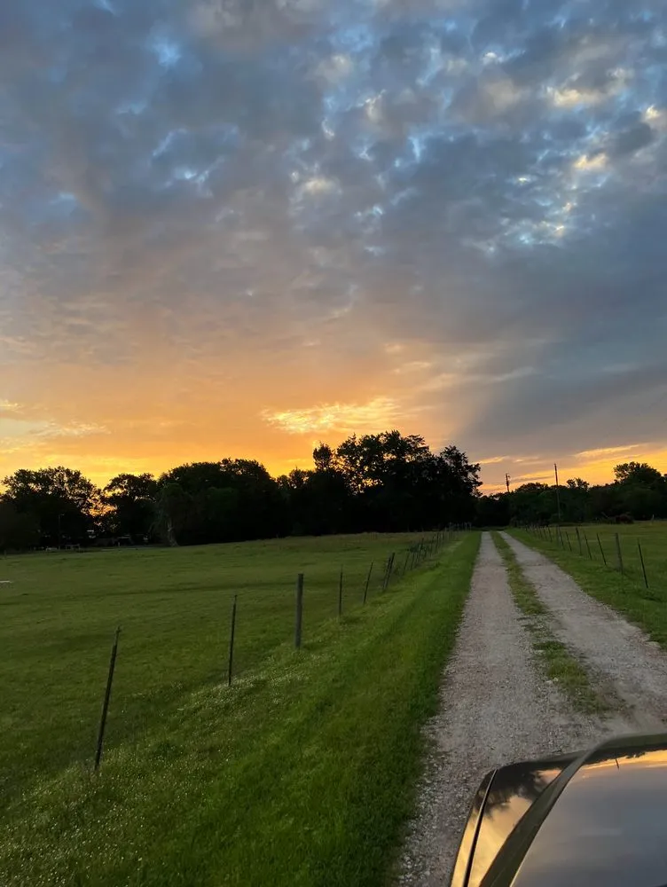 Local lawn care service in Hempstead, TX by JWH Tractor Works