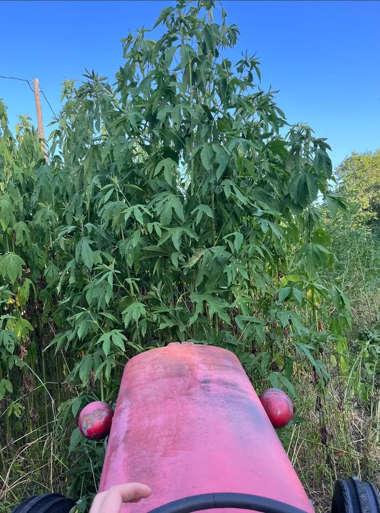 Expert landscape installation in Hempstead, TX - JWH Tractor Works