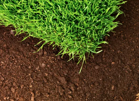 Professional yard maintenance for homes in Forked River, NJ by JWM Landscaping