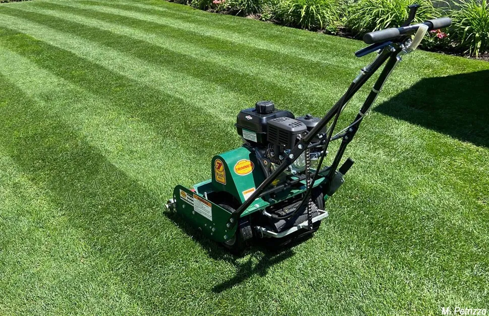 Expert lawn mowing service experts serving Lakewood, WA - JWpud Yards