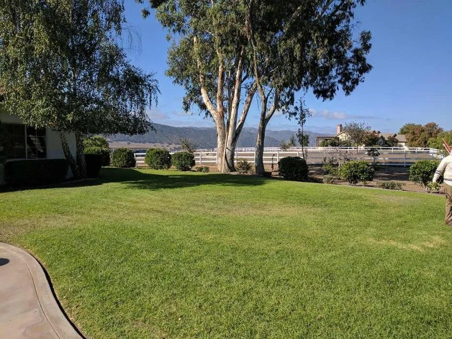 Trusted landscape design near you in Santa Ynez, CA by JW’S Landscape & Gardening Services