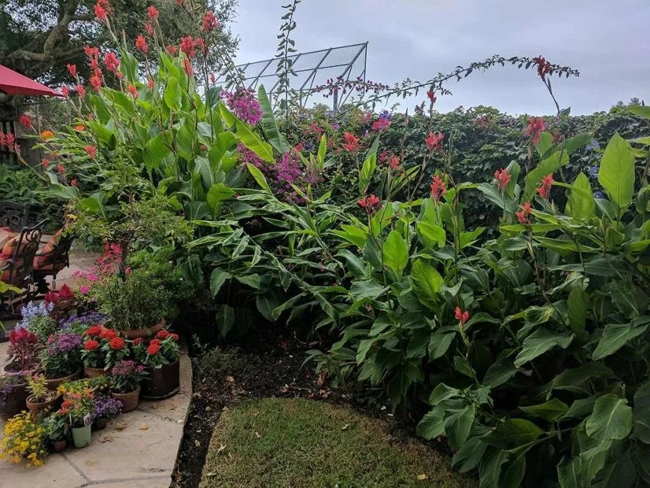 Local residential landscaping near you in Santa Ynez, CA by JW’S Landscape & Gardening Services