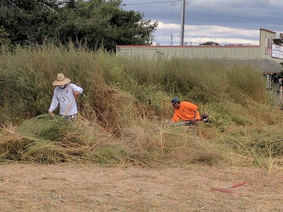 Trusted landscaping services experts serving Santa Ynez, CA - JW’S Landscape & Gardening Services