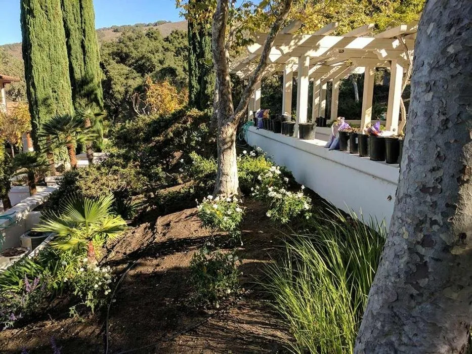 Professional yard maintenance in Santa Ynez, CA by JW’S Landscape & Gardening Services