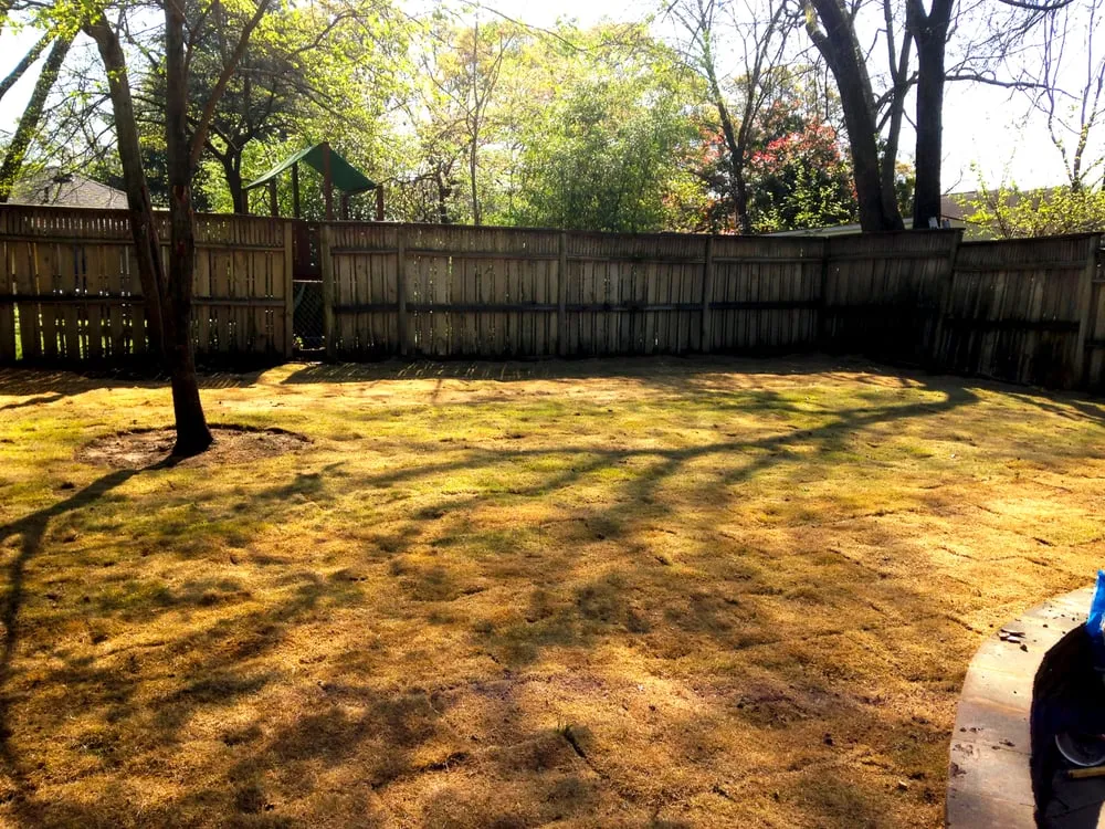 Trusted lawn care service for year-round maintenance in McDonough, GA by JW's Precision Lawn Care & Landscaping