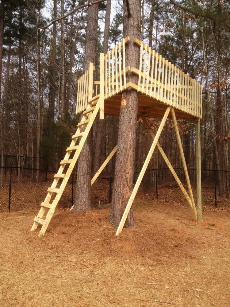 Top-rated yard cleanup service experts serving McDonough, GA - JW's Precision Lawn Care & Landscaping