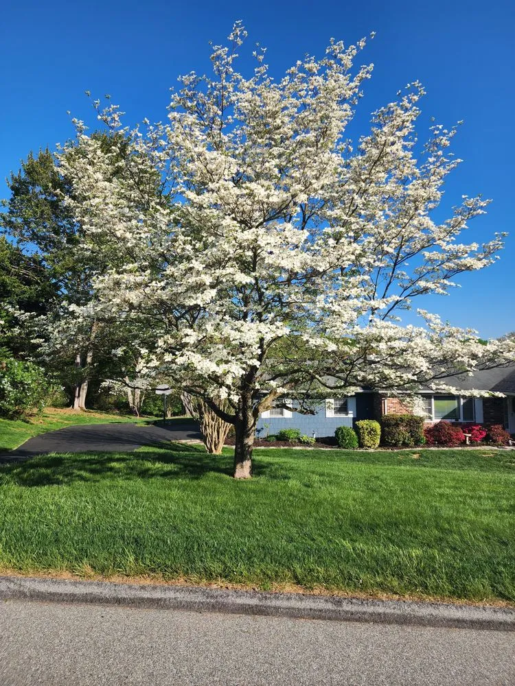 Professional lawn care service in Westminster, MD by JWS Professional Grounds Maintenance