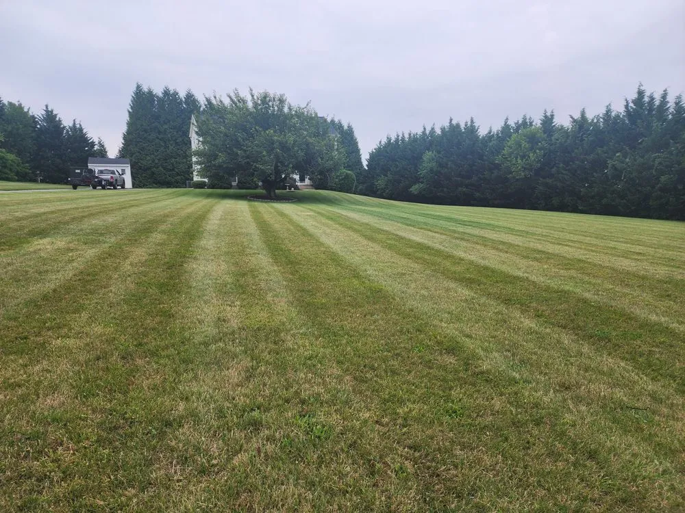 Reliable yard cleanup service in Westminster, MD - JWS Professional Grounds Maintenance