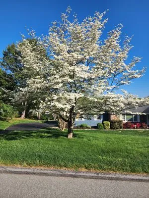 JWS Professional Grounds Maintenance Logo