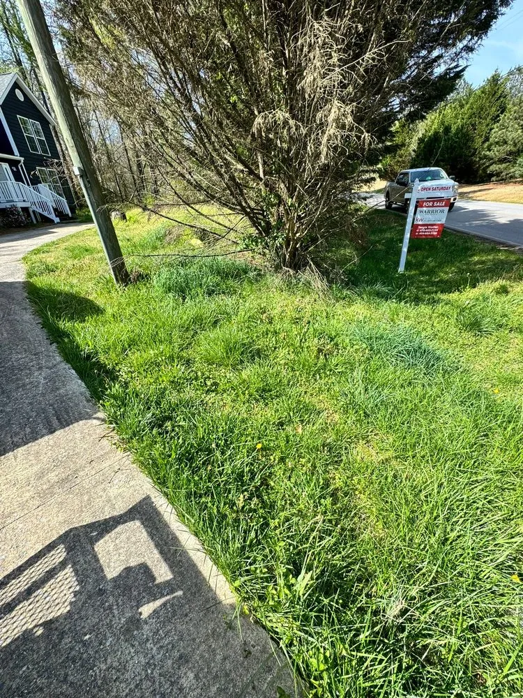 Reliable landscape design for year-round maintenance across Douglasville, GA - JY & I Landscaping And Cleaning Services