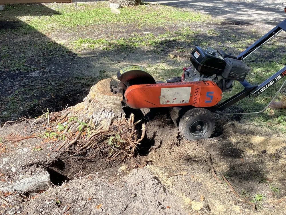Expert yard maintenance in Opa-locka, FL - J&Y Brothers Construction Service