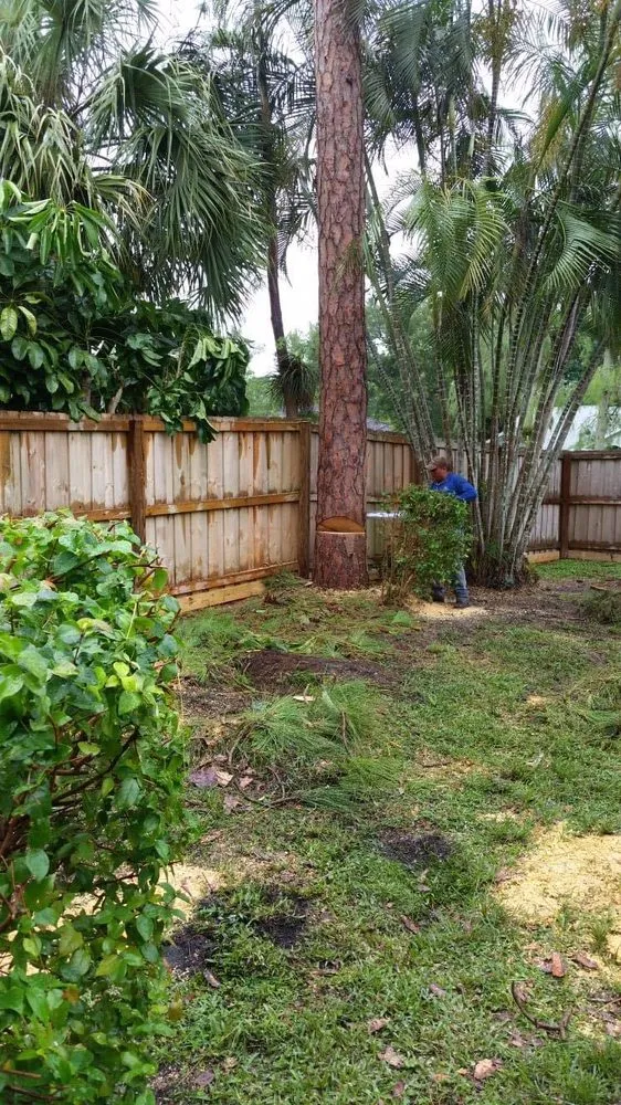 Top-rated outdoor landscaping for outdoor upgrades across Royal Palm Beach, FL - J&Y GrassHoppers Landscaping Services