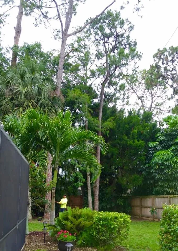 Affordable landscape design in Royal Palm Beach, FL by J&Y GrassHoppers Landscaping Services