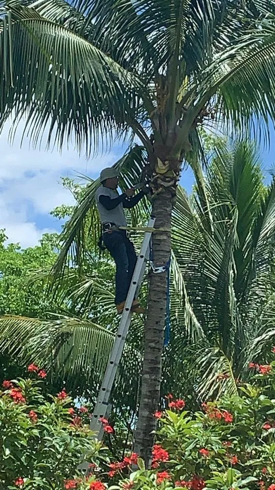 Custom lawn care service near you across Royal Palm Beach, FL - J&Y GrassHoppers Landscaping Services