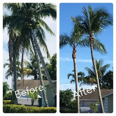 J&Y GrassHoppers Landscaping Services