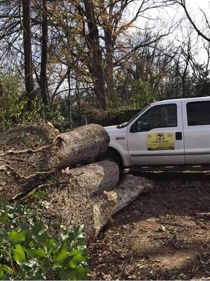 Custom yard cleanup service in Atlanta, GA by J&Y Landscaping and tree service