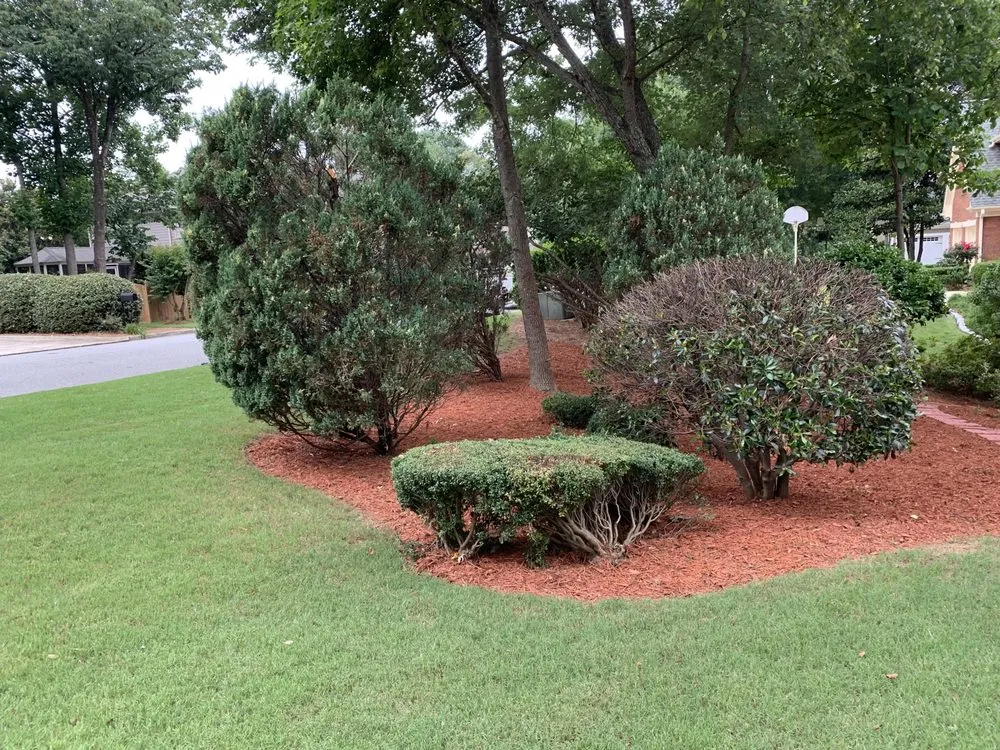 Local garden landscaping experts serving Atlanta, GA - J&Y Landscaping and tree service