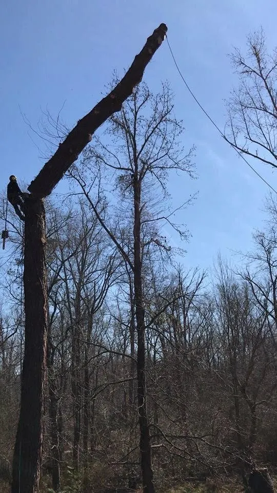 Affordable yard cleanup service experts serving Atlanta, GA - J&Y Landscaping and tree service