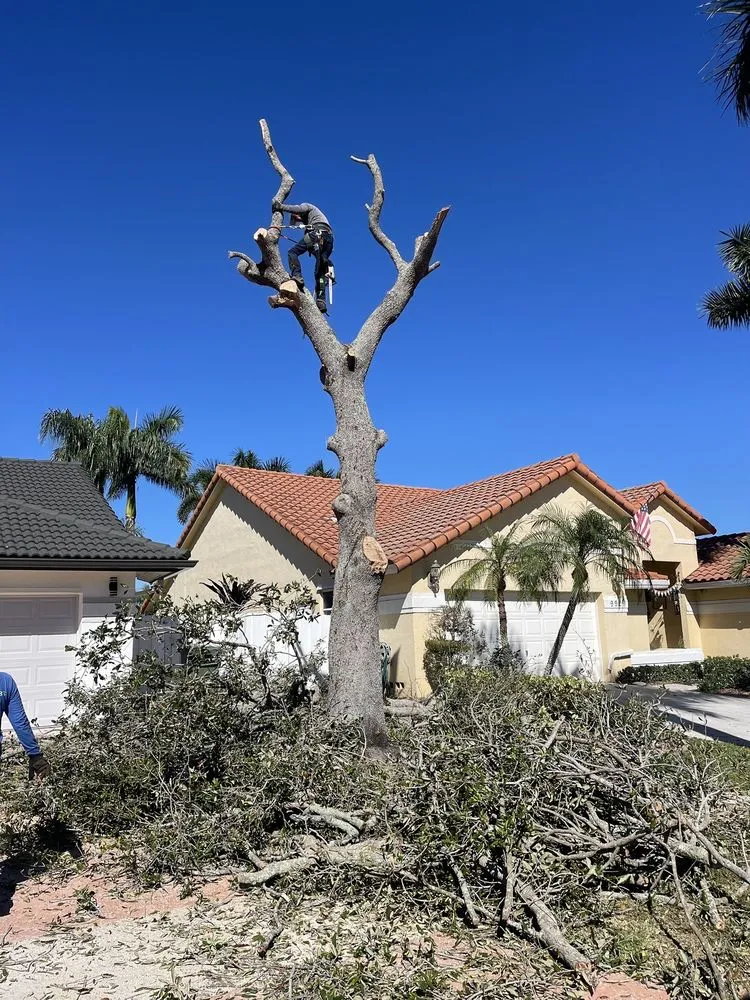 Professional yard maintenance for year-round maintenance across Hialeah Gardens, FL - J&Y landscaping1corp