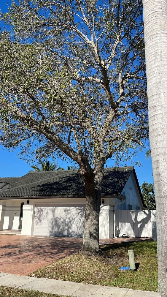 Top-rated lawn mowing service for outdoor upgrades across Hialeah Gardens, FL - J&Y landscaping1corp