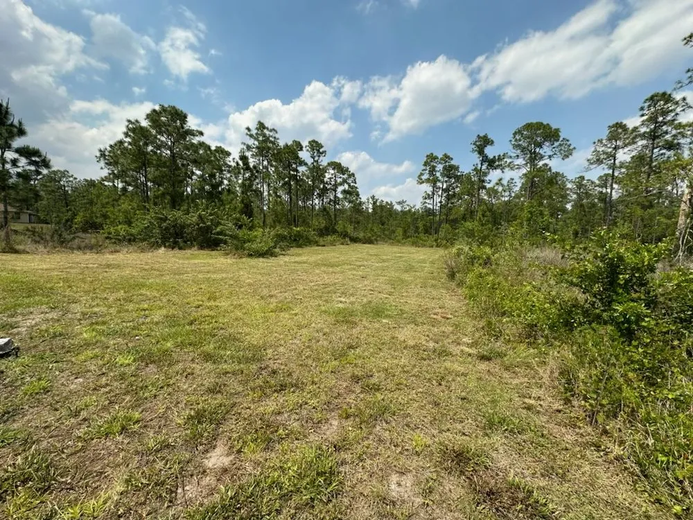 Custom yard cleanup service in Immokalee, FL - J&Y Lawn Care