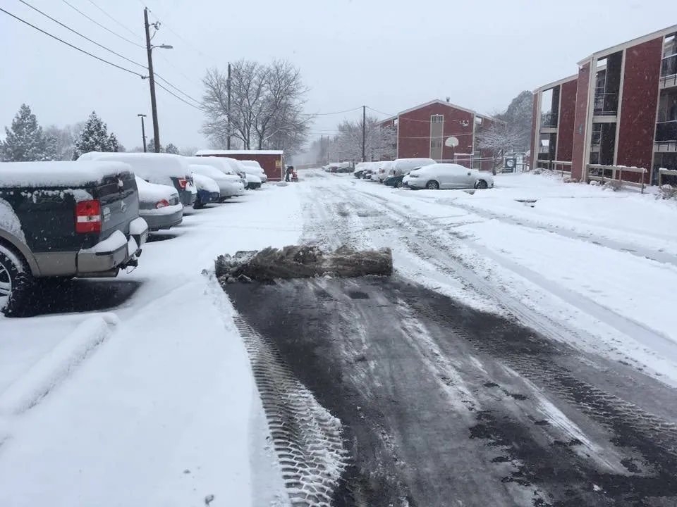 Top-rated yard cleanup service in Albuquerque, NM - JYG Landscaping Concrete Work