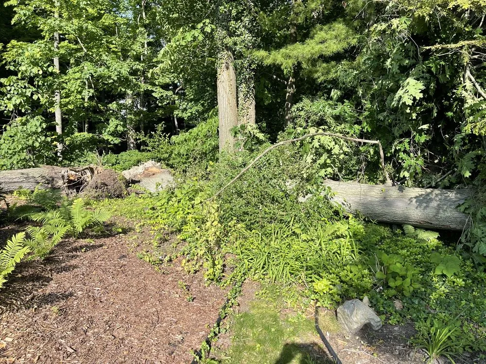 Top-rated lawn care service for homes in Benton Harbor, MI by JYJ Tree Service