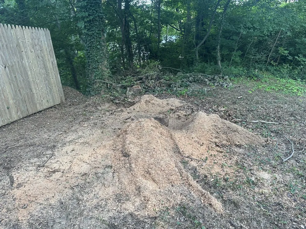 Trusted residential landscaping experts serving Benton Harbor, MI - JYJ Tree Service