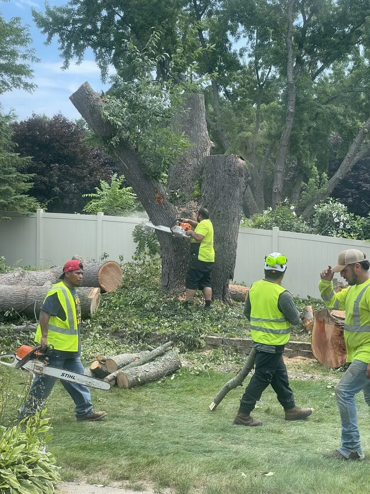 Reliable lawn care service in Benton Harbor, MI by JYJ Tree Service