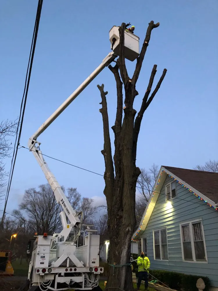 Expert outdoor landscaping in Benton Harbor, MI by JYJ Tree Service