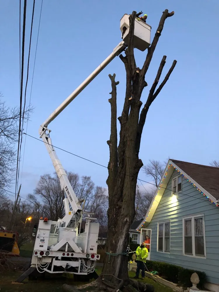 Expert residential landscaping experts serving Benton Harbor, MI - JYJ Tree Service