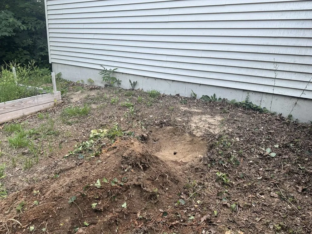 Reliable yard maintenance experts serving Benton Harbor, MI - JYJ Tree Service