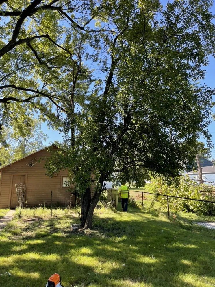 Custom yard maintenance experts serving Benton Harbor, MI - JYJ Tree Service